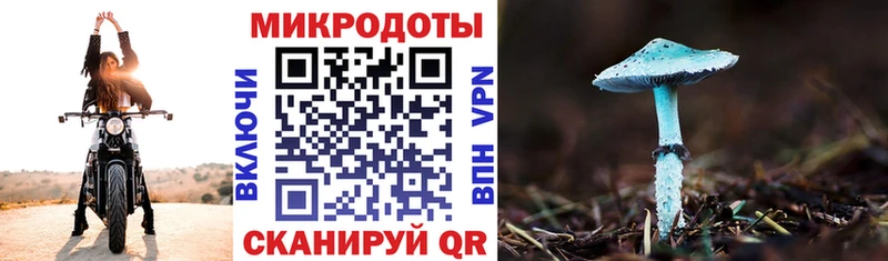 Галлюциногенные грибы Cubensis  Купить где  Усть-Кут 